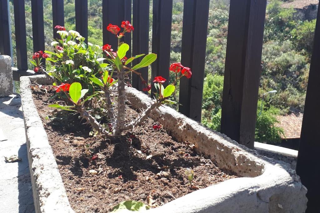 Villa Casa Tia Rosa. Costa Adeje  Exterior foto